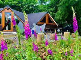 Chalet Tropical avec bain à bulles - In the Woods，位于Gesves的酒店