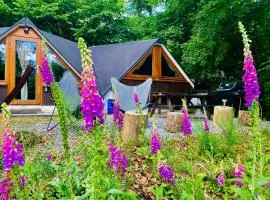 Chalet Tropical avec bain à bulles - In the Woods