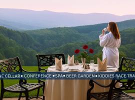 Coach House Hotel & Spa Tzaneen，位于察嫩的酒店