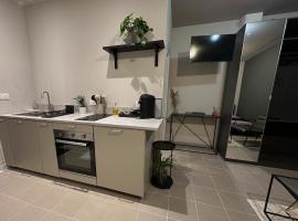 Grand studio，位于Anthon的酒店