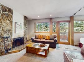 Cozy Slopeside Condo，位于斯诺马斯村的酒店