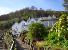 The Bonnicott Hotel Lynmouth，位于林茅斯的酒店