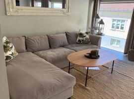 Notodden Sentrum Apartment NO 2，位于诺托登的酒店