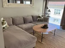 Notodden Sentrum Apartment NO 2