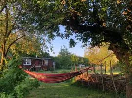 Wilde Möhre Bauwagen Sommerküche Draussen Abenteuer