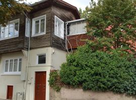 Charming Anatolian House in Çengelköy，位于伊斯坦布尔的酒店