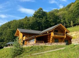 RALPH Cabin- Apuseni Mountains, Transylvania，位于Bucium的酒店