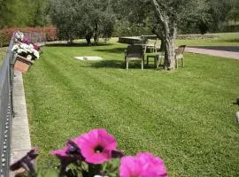 Fons Clara Domus et Eventi