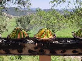 Houcine gite，位于塔扎的酒店