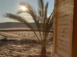 sabrina camp