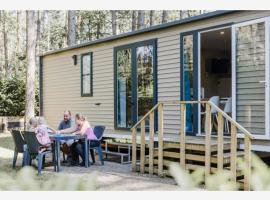 Tranquil pine forest chalet in Antwerp Kempen，位于Beulk的酒店