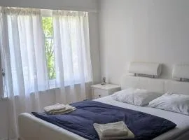 Luxury Apartment in very Good Location near Basel City