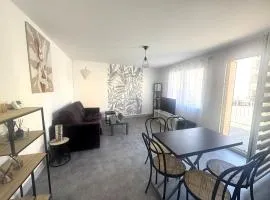 Grand appartement centre-ville