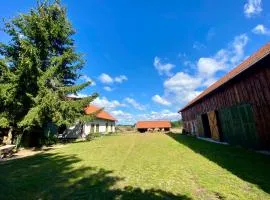 Dom na wyłączność Kruzy36