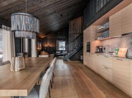 Kikut Alpin Lodge 1301，位于Hol的酒店