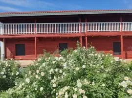 Hämeenniemi B&B Aitta, Barn