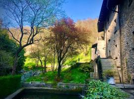 Molino Valsecchi 1369，位于Asso的酒店