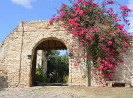 Sa Domu de sa Contissa