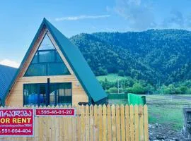 Wood cottage in Borjomi