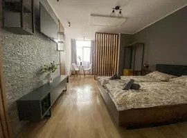 Nest Studio Deluxe