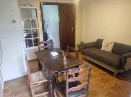 Home 5 un piso