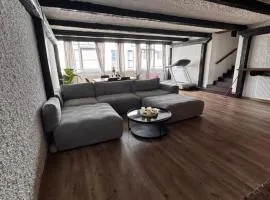 Exclusive luxury apartment, central