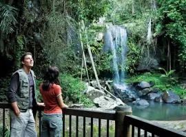 Serene Mountain Cabin Retreat Tamborine Mountain