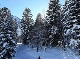 Résidence Lienz - Studio avec petite terrasse exposé Sud proche du centre de Barèges MAE-8604