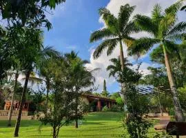Ecocentro Brasil - Flamboyant