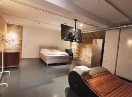 Zimmer im Loft II，位于曼海姆的酒店