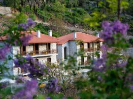 Aeriko Guest House，位于斯特姆尼察的酒店