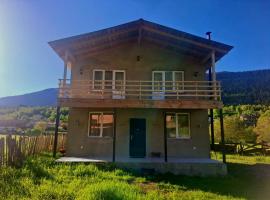 Mountain house in Mestia，位于梅斯蒂亚的山林小屋