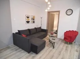 Vasilikis spacious apartment