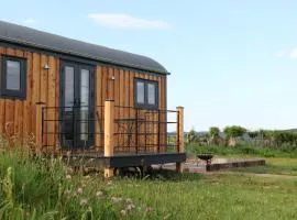 Oak Moor Shepherd Hut - Brecon Beacons, LD3 7TD