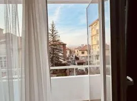 Unique flat with balcony in the heart of the city