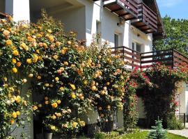 Vila Carpatina，位于布雷亚扎的酒店