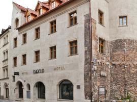 Hotel David an der Donau，位于雷根斯堡Old Town的酒店