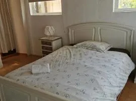 Casa da Abelha- Beehouse