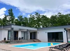 Luxury Villa Mojito