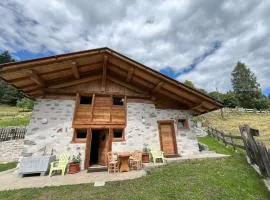 Mountain Chalet