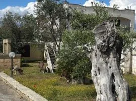 B&B Sant'Antonio