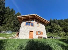 Mountain Chalet Splazoi
