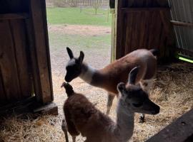 Billund Farm Holiday，位于比伦德的乡村别墅
