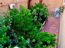 Sunny City Villa with a Garden
