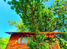 Tree House 4 Nature Lovers，位于达瓦拉维的酒店
