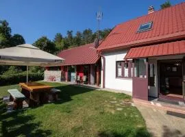 Family-friendly apartments with swimming pool Lic, Gorski kotar - 23685