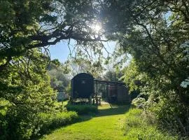 Stompy's Hut