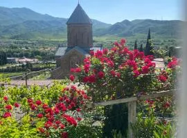garden and panorama