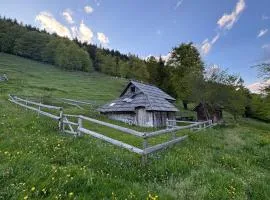 Mountain Lodge Suška Koča