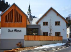 Hiša Plesnik，位于索尔察瓦的酒店
